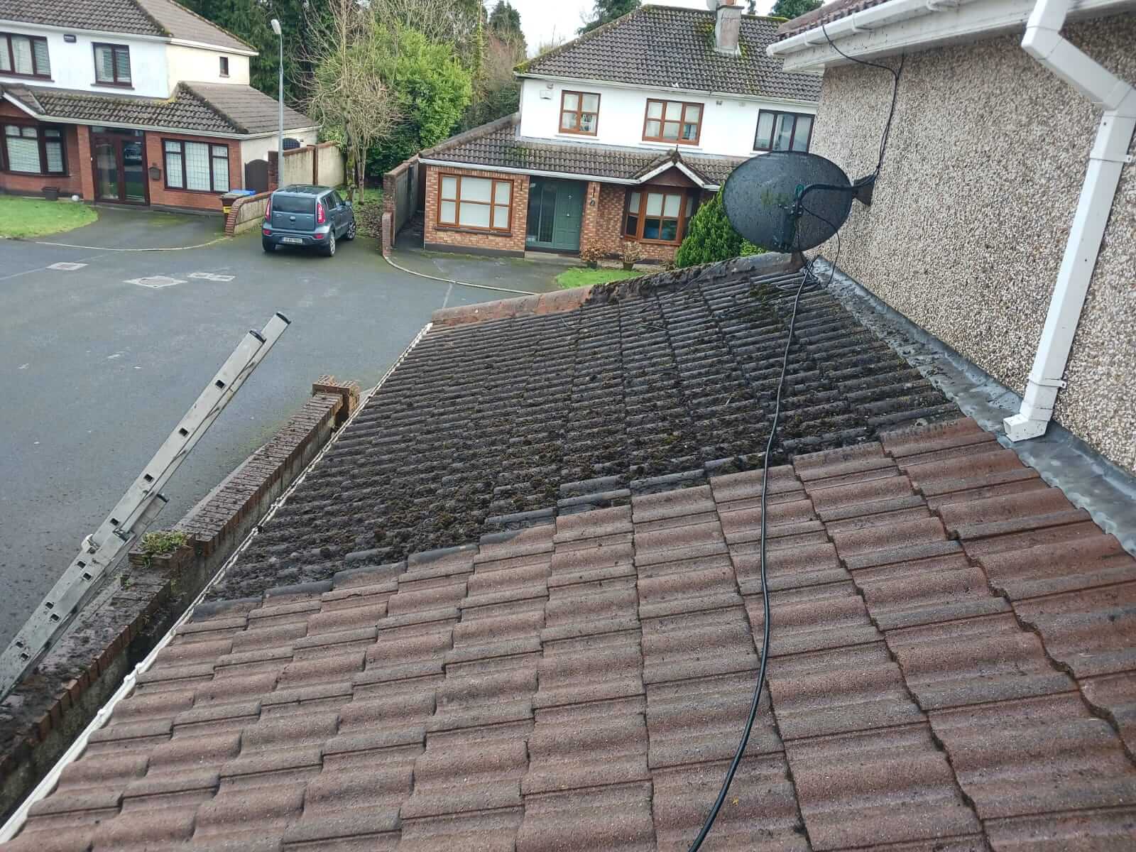 Roof Cleaning1