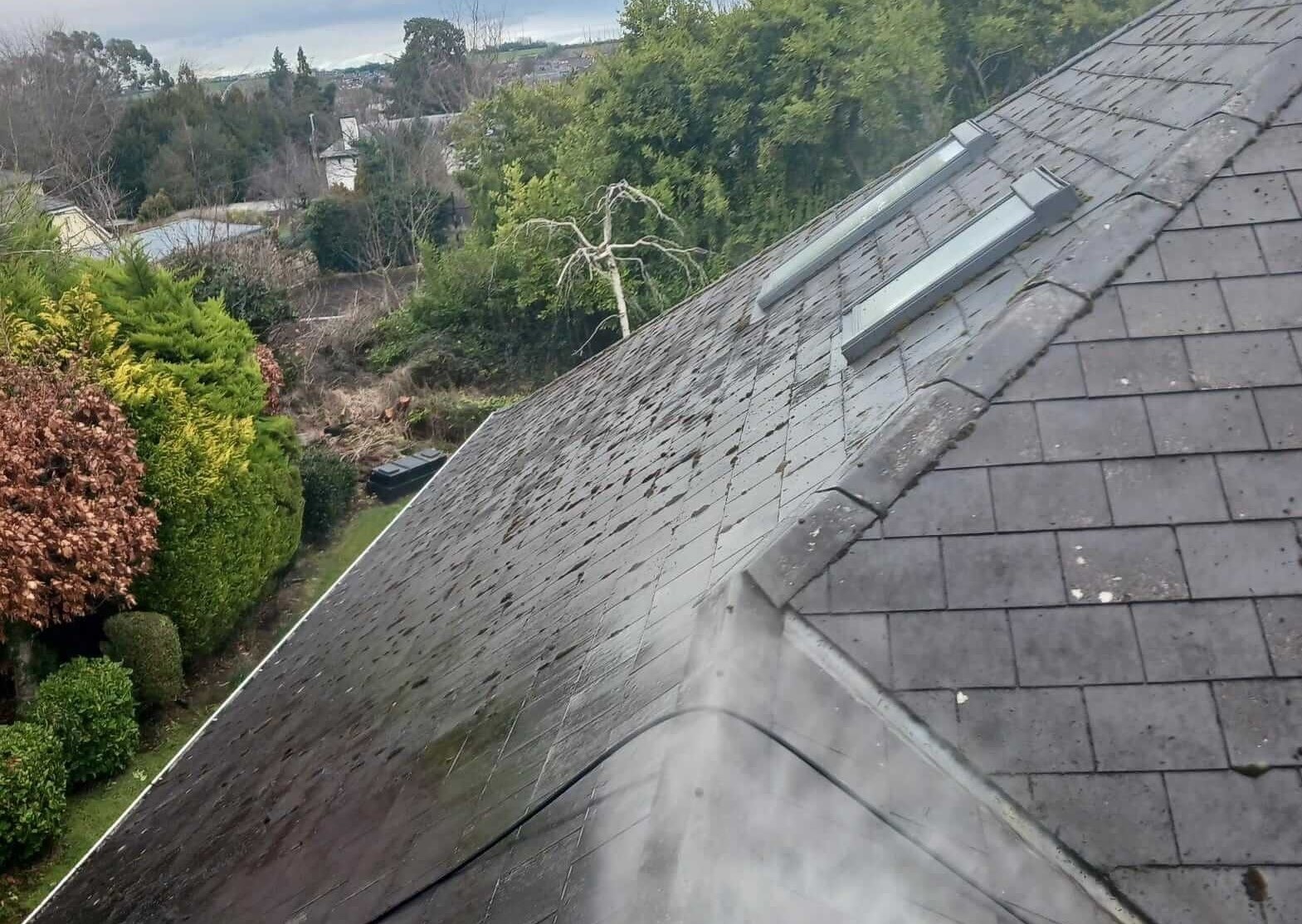 Roof Cleaning15